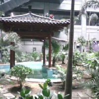 燕雀安知鸿鹄之志224