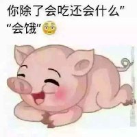 网名被占用（●—●）
