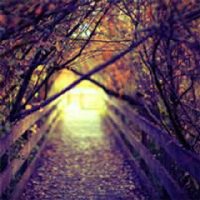 ≦陌筱黎尛℉6353