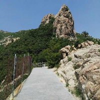 骑毛驴逛北京15