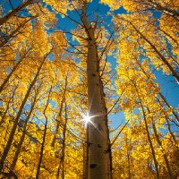 自由飞翔  😁😁