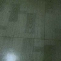 不离不弃7812