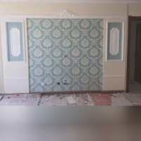 百姓绿森林硅藻泥电话1894