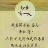 伤痕累累4280