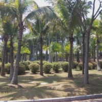 小小小人物68