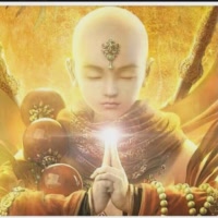哥 🌻扭转乾坤