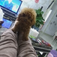 吴怨吴悔乐呵乐呵