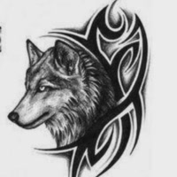 ༄༺逐云之巅༻࿐ེ