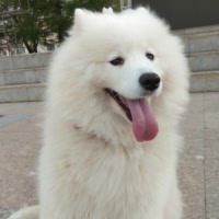 逍遥MfhbfJnO