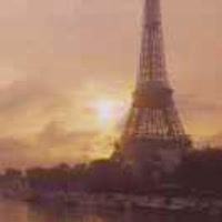 金子永远发光753