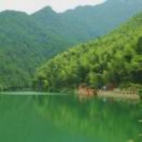 M默默留香H