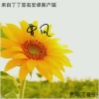风中的承诺7550
