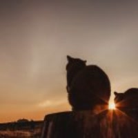 让风停（ ͡ _ ͡°）