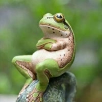 🐸️出弓没有回头箭