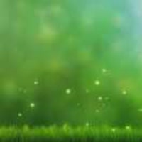 期待中………125