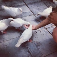 我，我我的好大哥