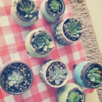春暖花开＠