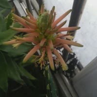 手到病除