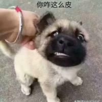 家庭💋 煮妇✌