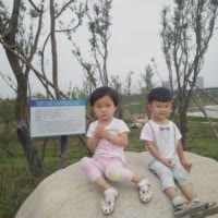 李争龙285