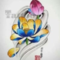 玉振金声8687