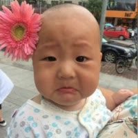 包二哥590