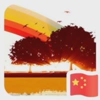彩虹之树