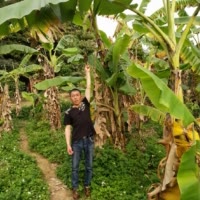 追梦人🇨🇳🇹🇭