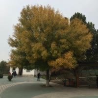 ︶错过的终究错过ゞ朵