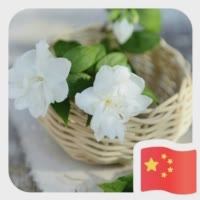 小燕71812