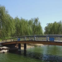 花开花落皆有情917