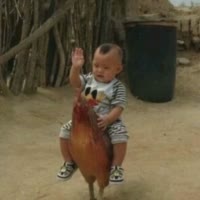 玩看小丑