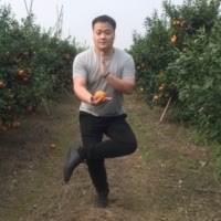 快手涨粉榜生活排行榜第12名果农～大鹏（榴莲批发）