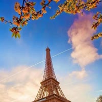 艾菲尔上的铁塔梦639