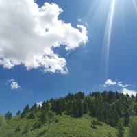 忆芝林