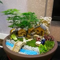 阳光花朵雨露