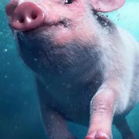 社会不是你爹妈    。