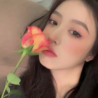 鹏哥爱分享