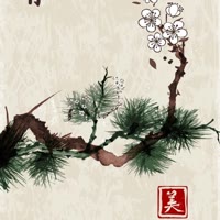 王者荣耀（晚风）