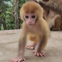 熟悉的陌生人
