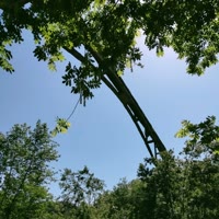 ，随，，，缘，