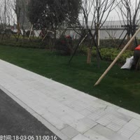 黄金芳