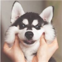 略略略略略略略略略略