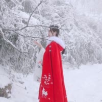 UP 主头像