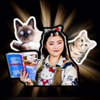 貓奴十三（有問題私信我）