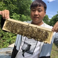 卢小开