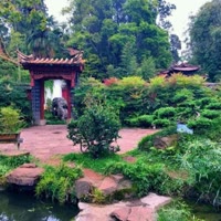 随风摇摆的老王