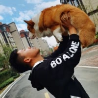皇冠宠物度假庄园👑