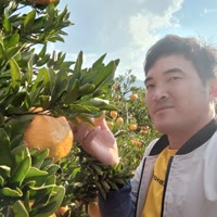 诸多顾虑皆为你