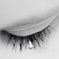 懂尼（❁´◡`❁）*✲ﾟ